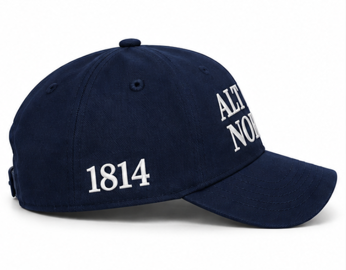 Alt For Norge - Blå caps